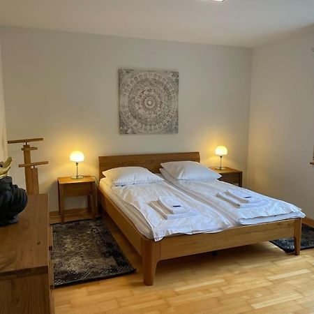 Cozy, Sunny, City Center 1 Bedroom Flat Цюрих Екстер'єр фото