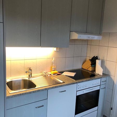 Cozy, Sunny, City Center 1 Bedroom Flat Цюрих Екстер'єр фото