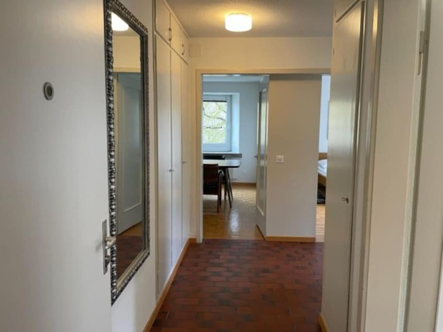 Cozy, Sunny, City Center 1 Bedroom Flat Цюрих Екстер'єр фото