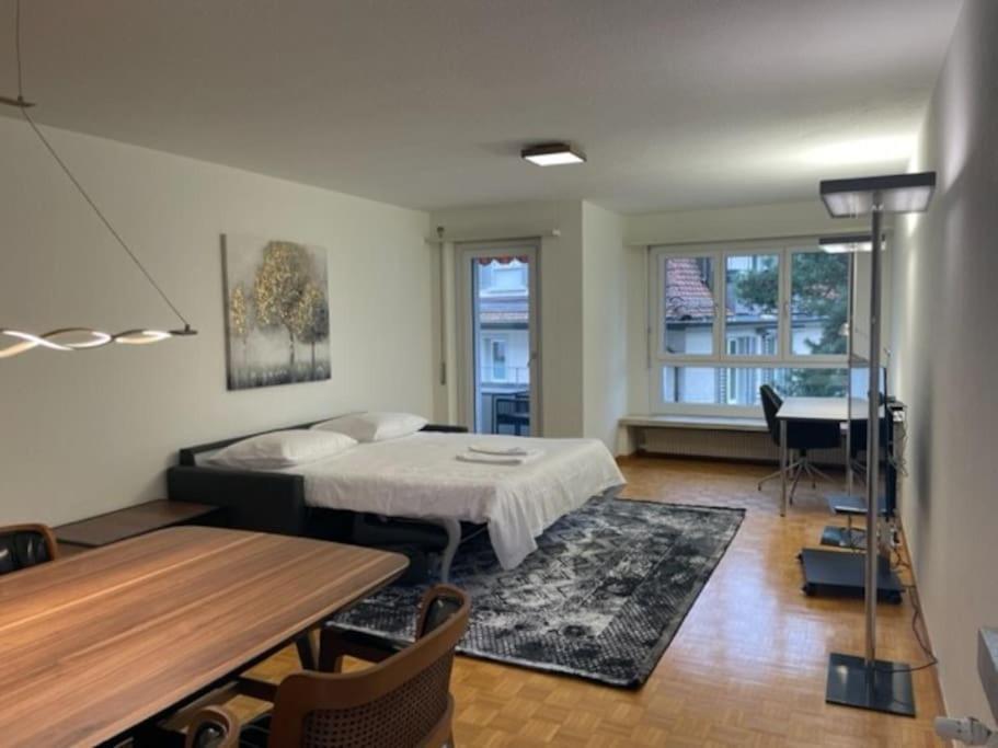 Cozy, Sunny, City Center 1 Bedroom Flat Цюрих Екстер'єр фото