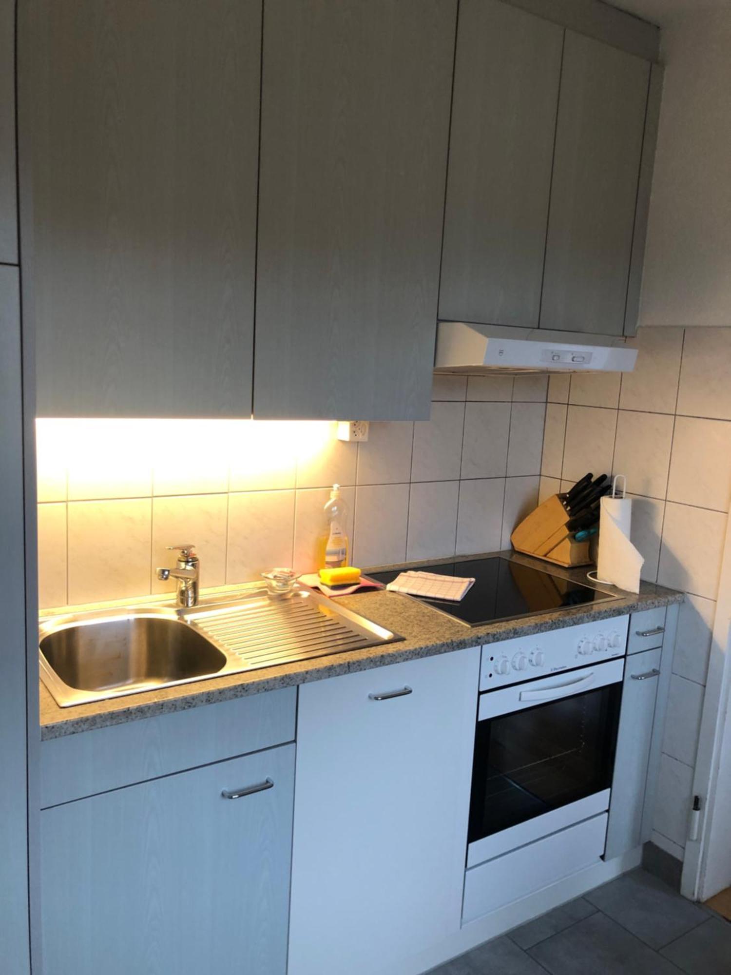 Cozy, Sunny, City Center 1 Bedroom Flat Цюрих Екстер'єр фото